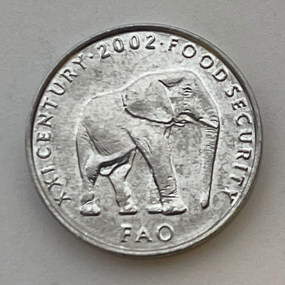 Elephant 5 Shillings Somalia Coin Money for Jewelry and Craft Making