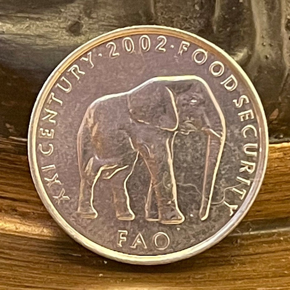 Elephant 5 Shillings Somalia Coin Money for Jewelry and Craft Making