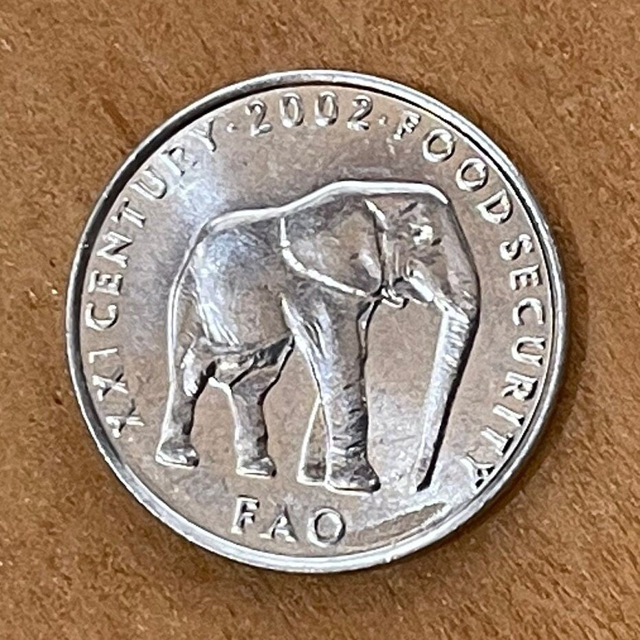 Elephant 5 Shillings Somalia Coin Money for Jewelry and Craft Making