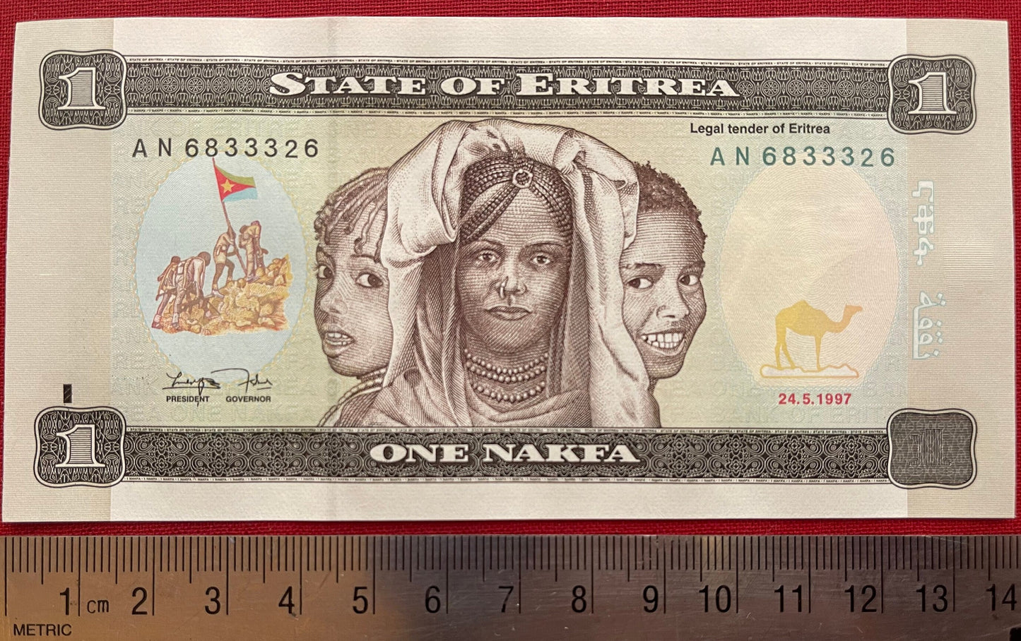 Youth Reading Books & Three Girls 1 Nafka Eritrea Authentic Banknote Money for Jewelry and Collage (Clarence Holbert) (Camel) Black Lives