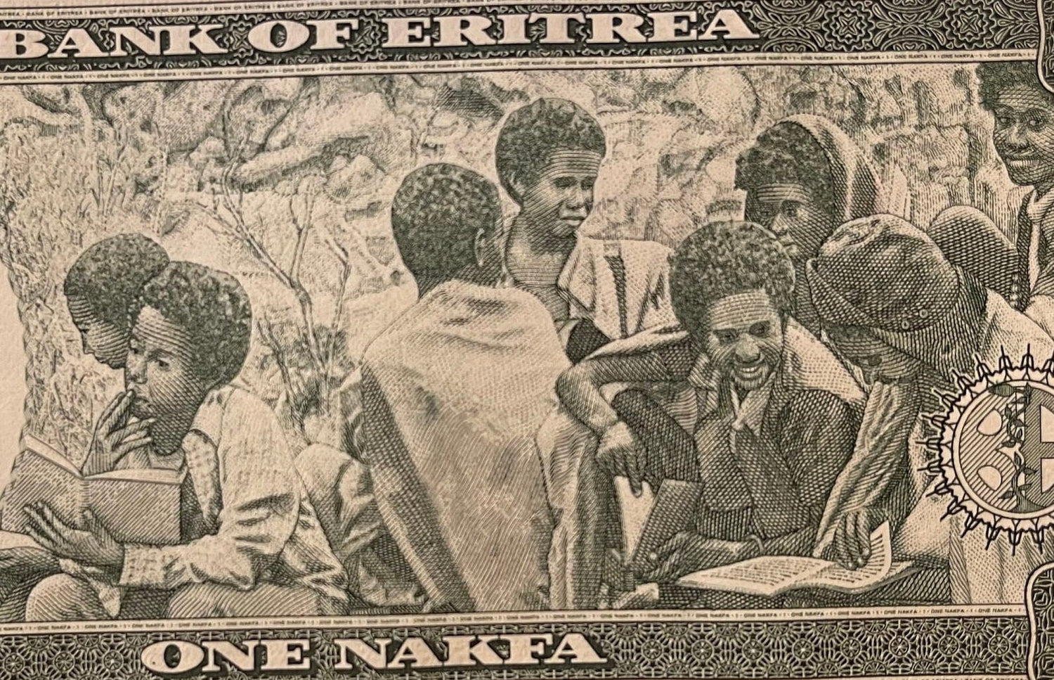 Youth Reading Books & Three Girls 1 Nafka Eritrea Authentic Banknote Money for Jewelry and Collage (Clarence Holbert) (Camel) Black Lives