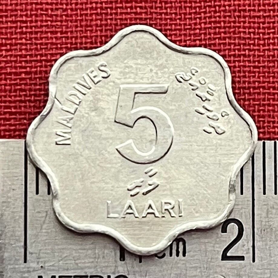 Bonito Fish & Reef Knot 5 Laari Maldives Authentic Coin Money for Jewelry and Craft Making (Scalloped Edge) (8 Notches)