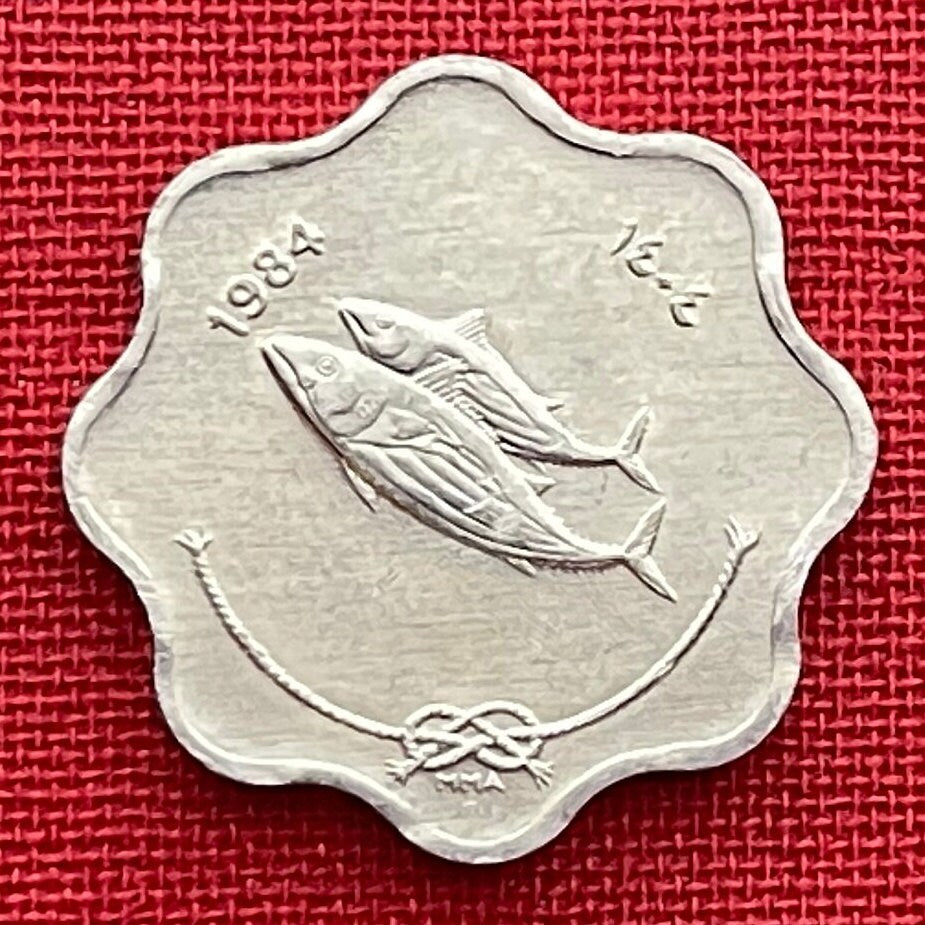 Bonito Fish & Reef Knot 5 Laari Maldives Authentic Coin Money for Jewelry and Craft Making (Scalloped Edge) (8 Notches)