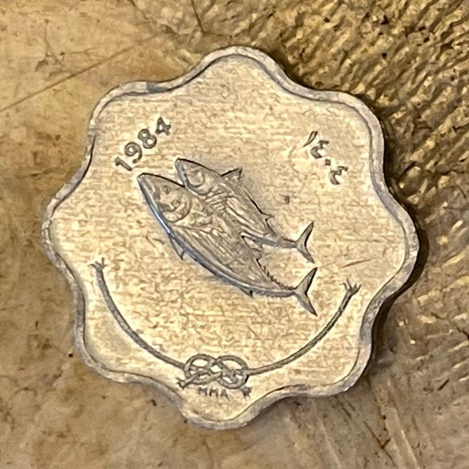 Bonito Fish & Reef Knot 5 Laari Maldives Authentic Coin Money for Jewelry and Craft Making (Scalloped Edge) (8 Notches)