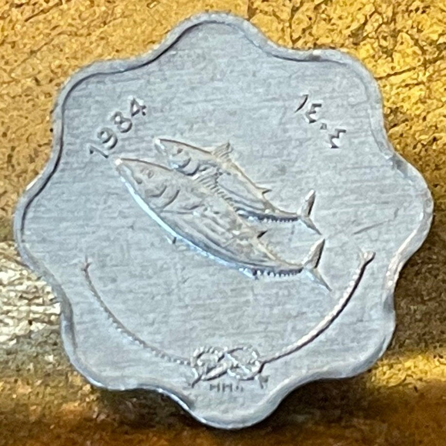 Bonito Fish & Reef Knot 5 Laari Maldives Authentic Coin Money for Jewelry and Craft Making (Scalloped Edge) (8 Notches)