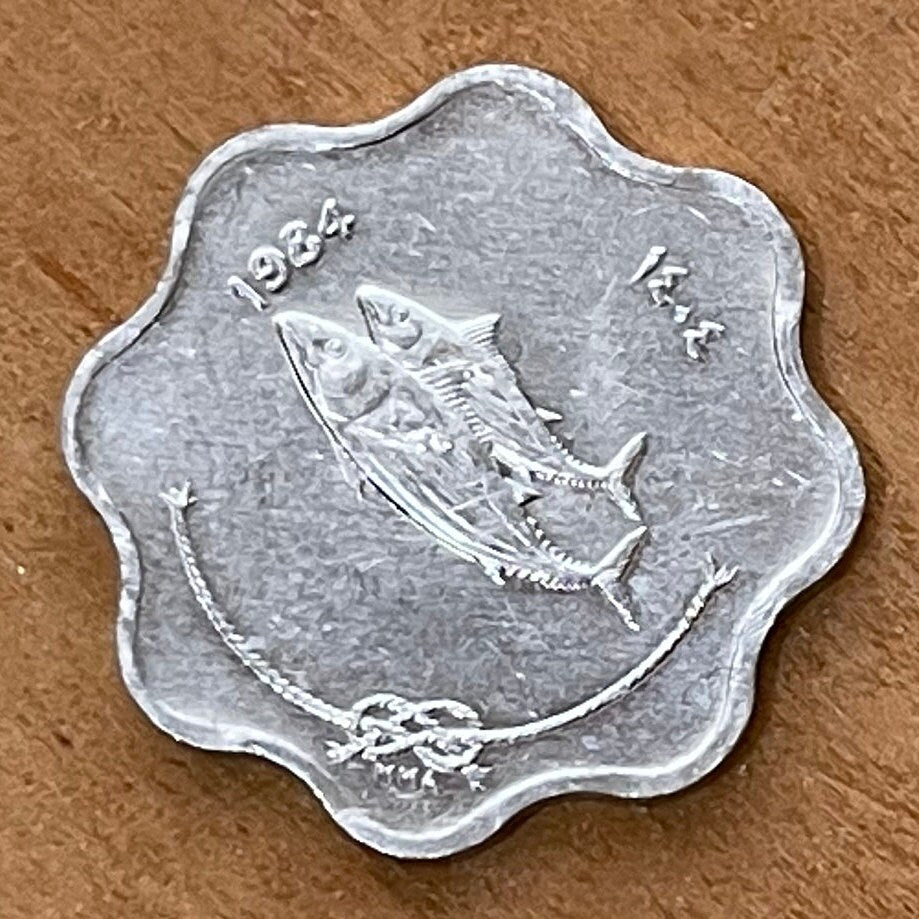 Bonito Fish & Reef Knot 5 Laari Maldives Authentic Coin Money for Jewelry and Craft Making (Scalloped Edge) (8 Notches)