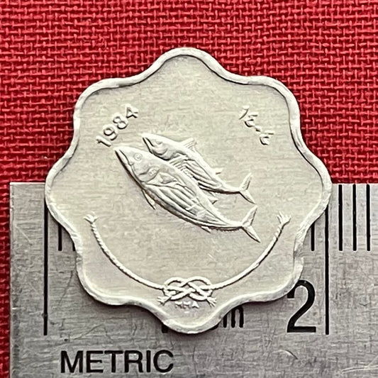 Bonito Fish & Reef Knot 5 Laari Maldives Authentic Coin Money for Jewelry and Craft Making (Scalloped Edge) (8 Notches)