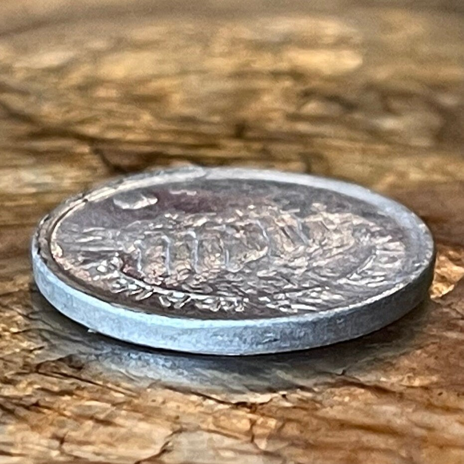 Sunkoshi River Hydropower Dam 5 Paisa Nepal Authentic Coin Money for Jewelry and Craft Making (Hydro-electricity) 1974