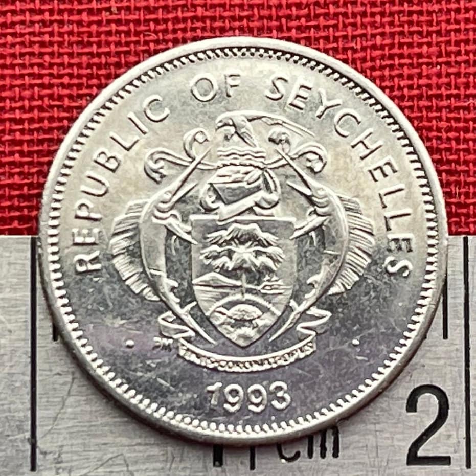 Seychelles Black Parrot 25 Cents Seychelles Authentic Coin Money for Jewelry and Craft Making