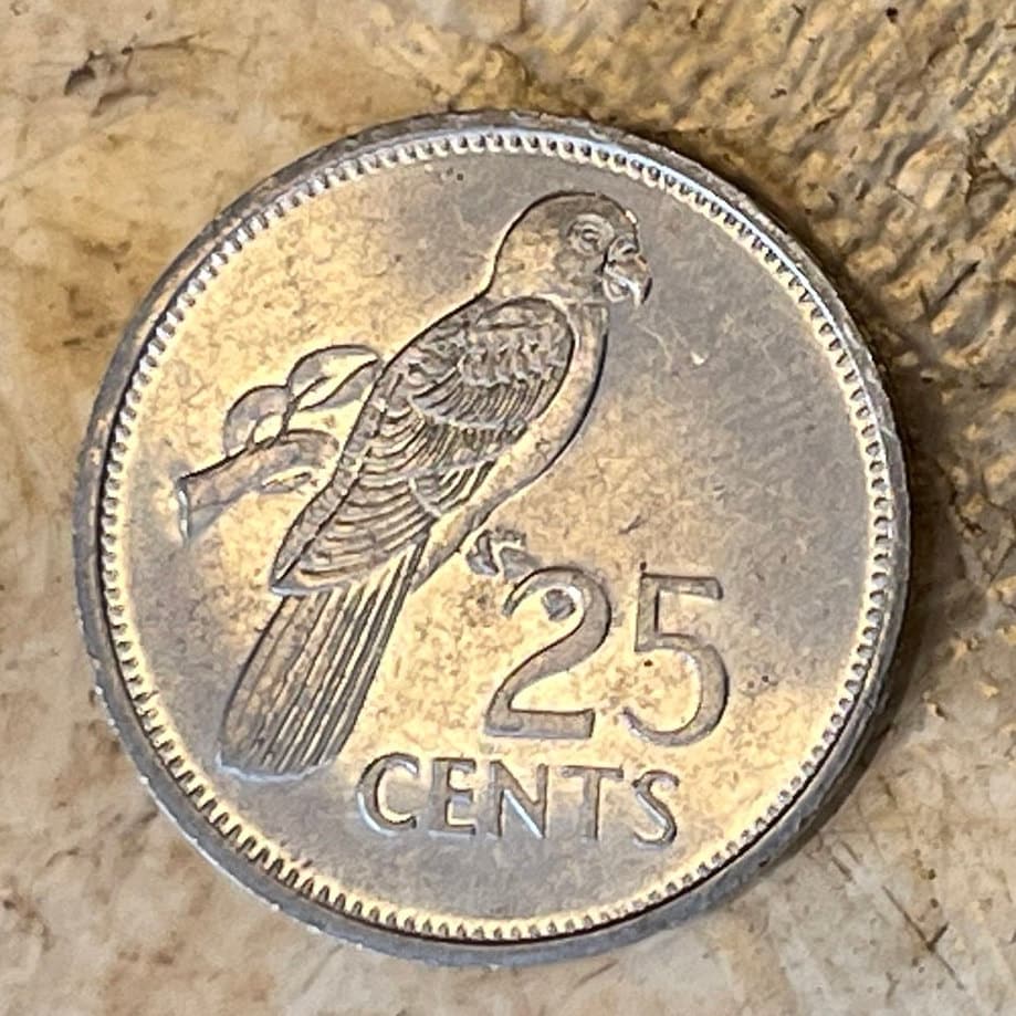 Seychelles Black Parrot 25 Cents Seychelles Authentic Coin Money for Jewelry and Craft Making