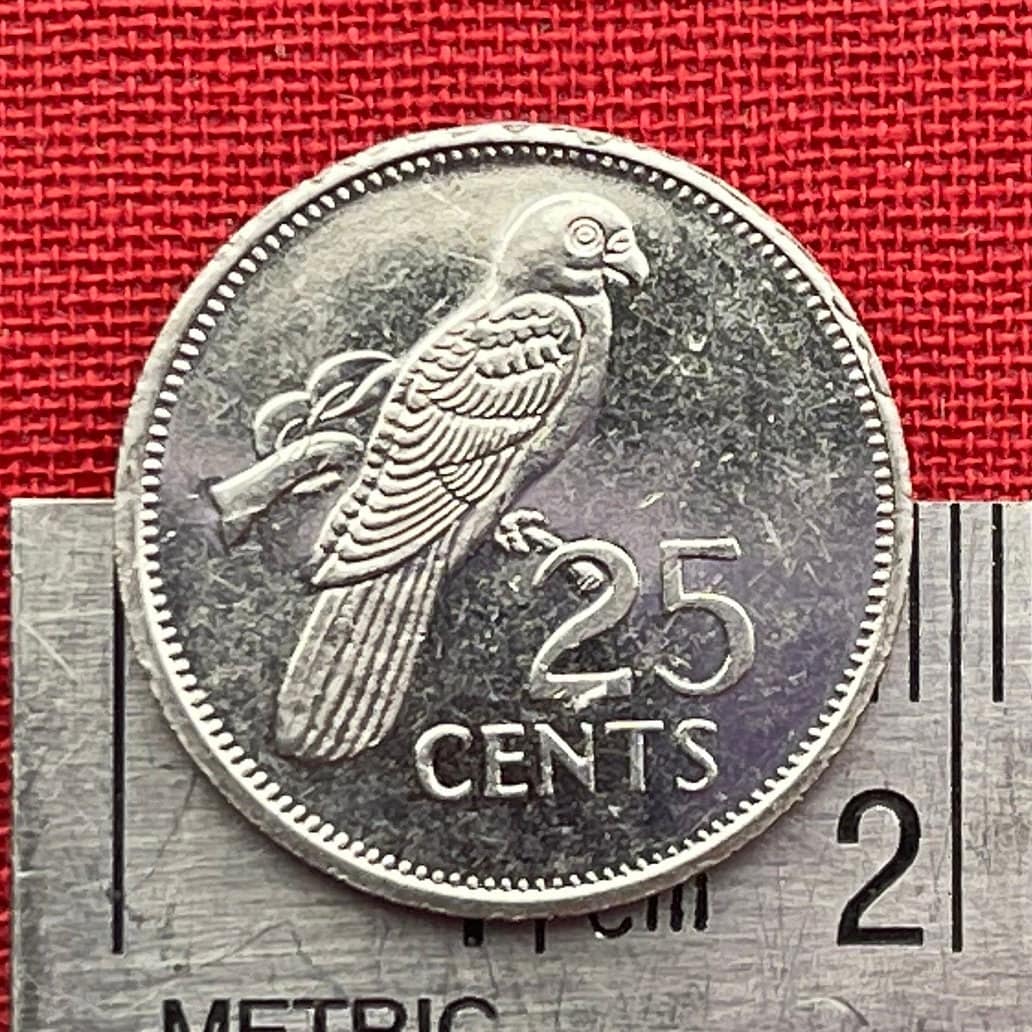 Seychelles Black Parrot 25 Cents Seychelles Authentic Coin Money for Jewelry and Craft Making