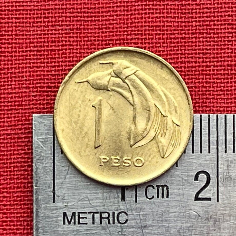 Libertador José Artigas & Cockspur Coral Flower 1 Peso Uruguay Authentic Coin Money for Jewelry (1968) CONDITION: XF (Artiguism)