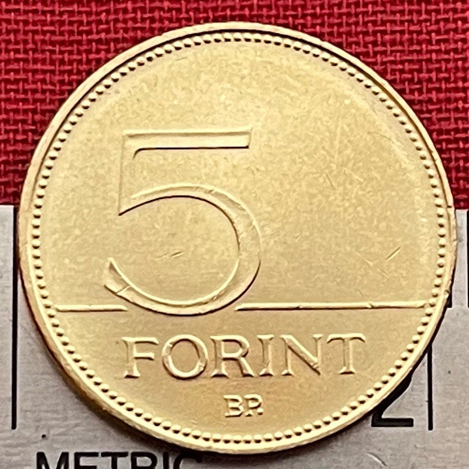 Great Egret 5 Forint Hungary Authentic Coin Money for Jewelry and Craft Making (Great White Heron)