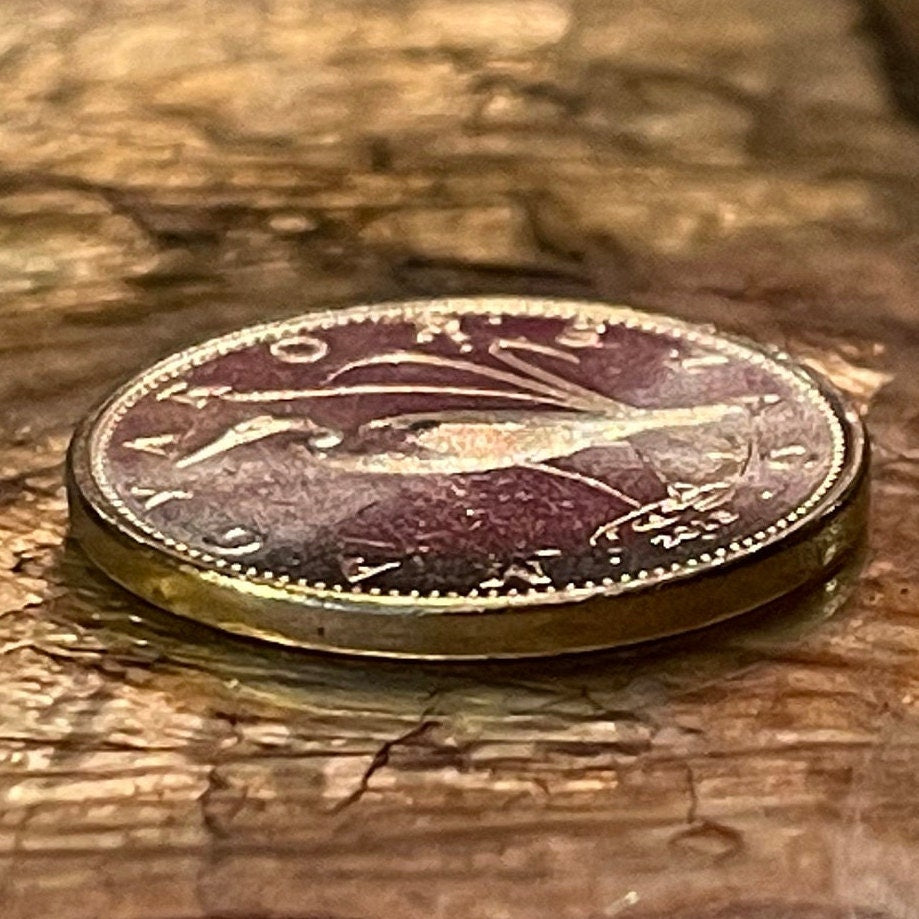 Great Egret 5 Forint Hungary Authentic Coin Money for Jewelry and Craft Making (Great White Heron)