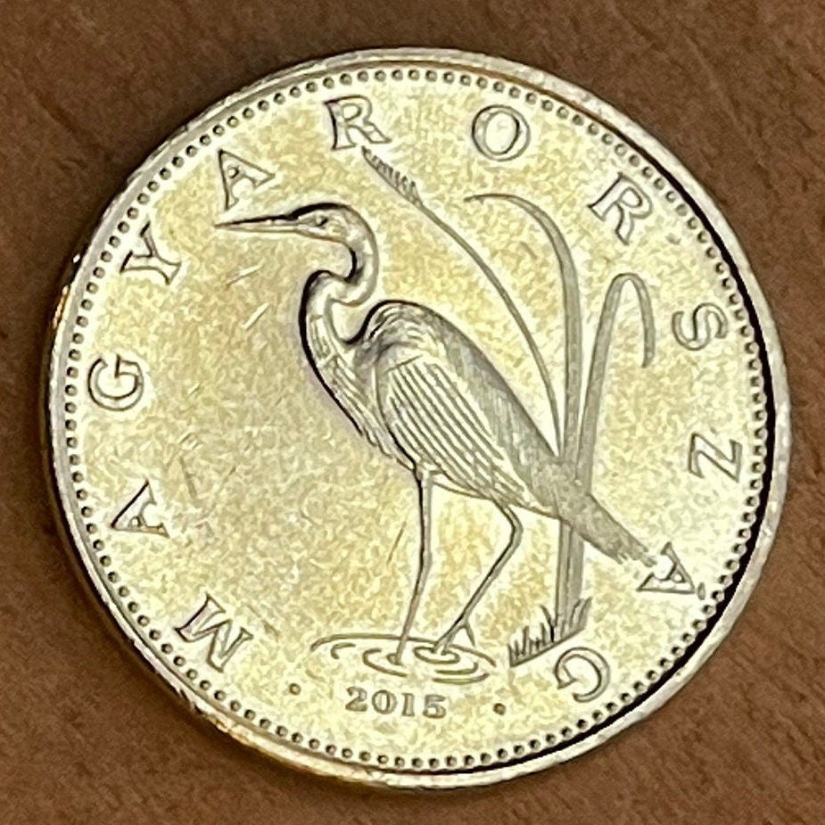 Great Egret 5 Forint Hungary Authentic Coin Money for Jewelry and Craft Making (Great White Heron)