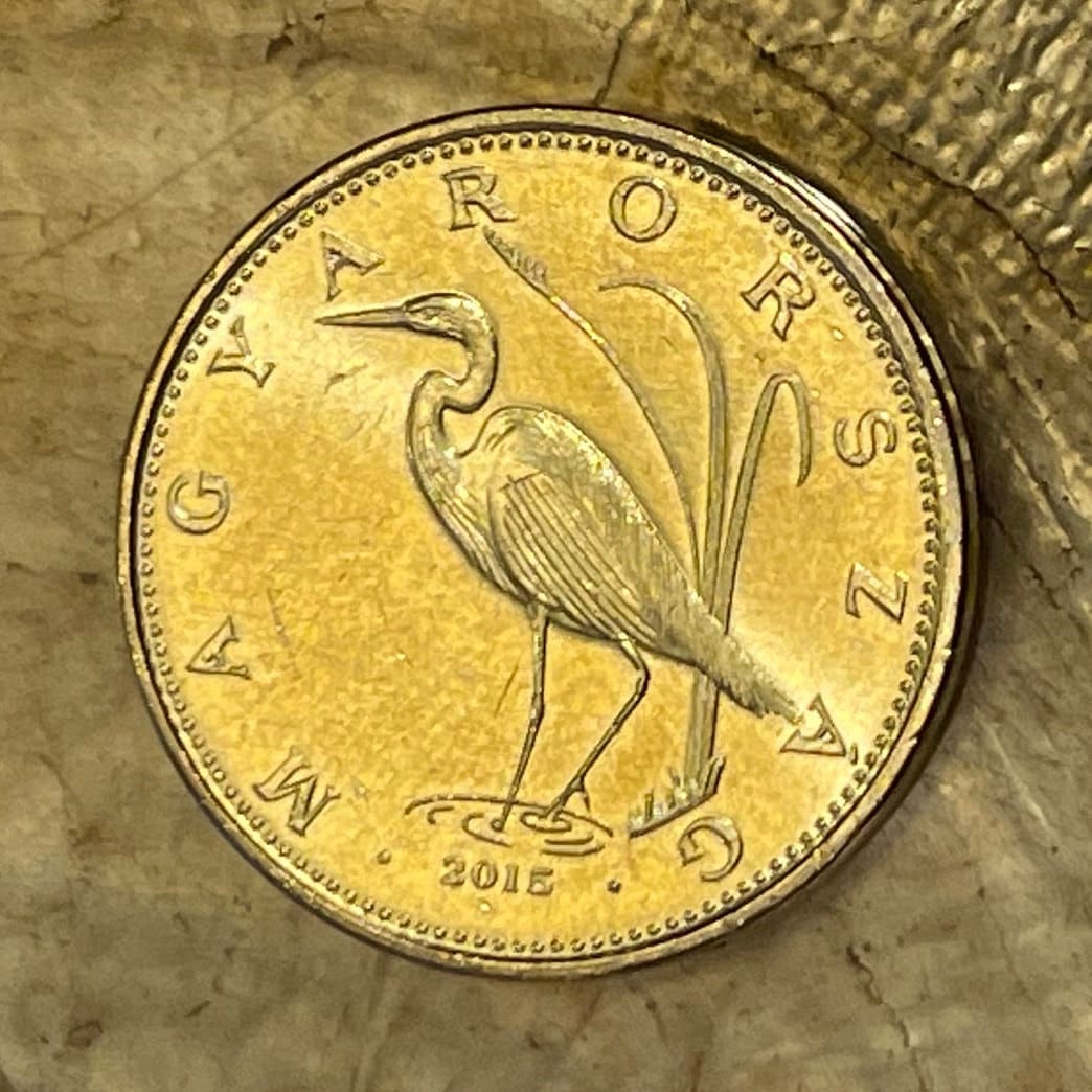 Great Egret 5 Forint Hungary Authentic Coin Money for Jewelry and Craft Making (Great White Heron)