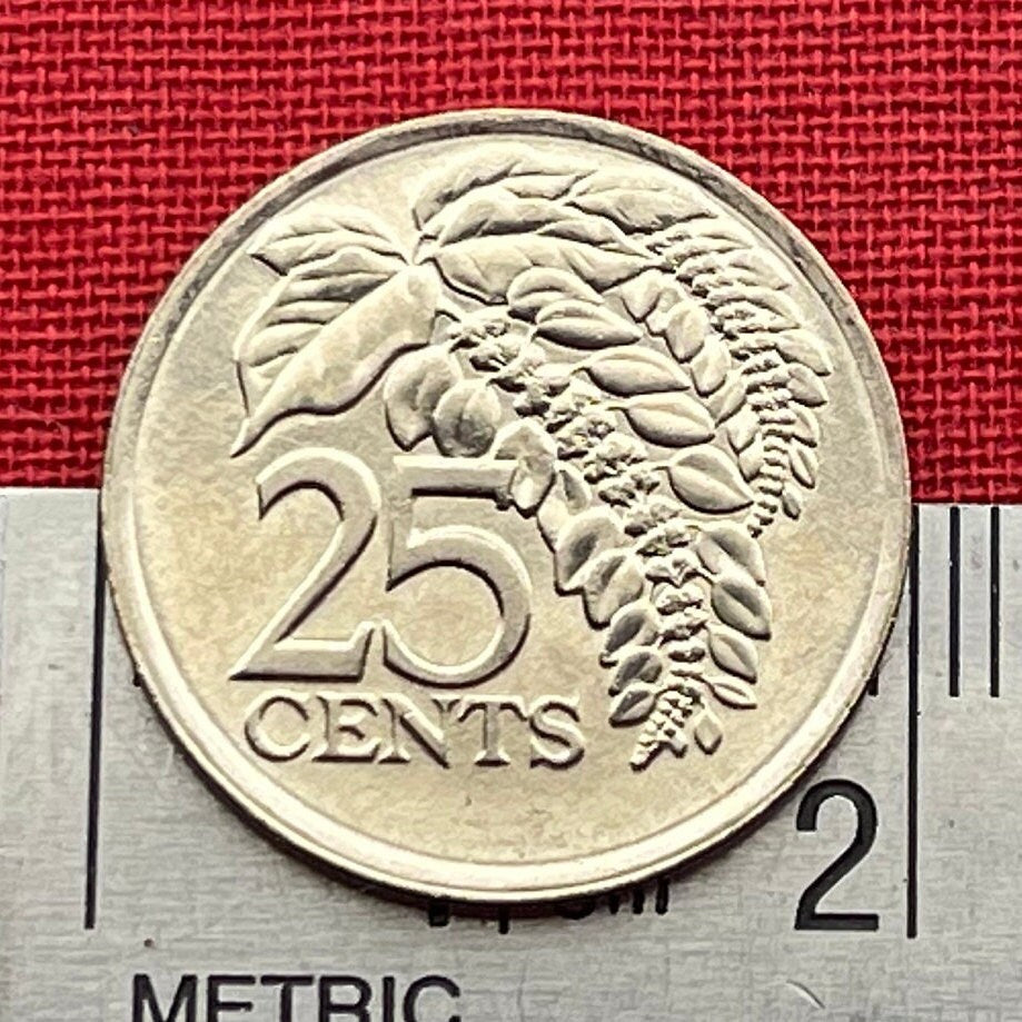 Wild Poinsettia 25 Cents Trinidad and Tobago Authentic Coin Money for Jewelry and Craft Making (Chaconia) (Christmas Flower)