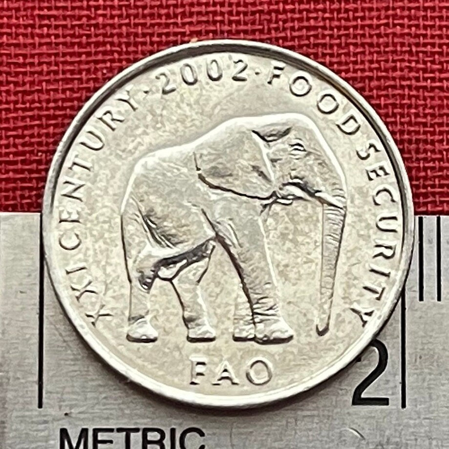 Elephant 5 Shillings Somalia Coin Money for Jewelry and Craft Making