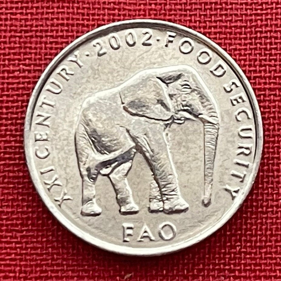 Elephant 5 Shillings Somalia Coin Money for Jewelry and Craft Making