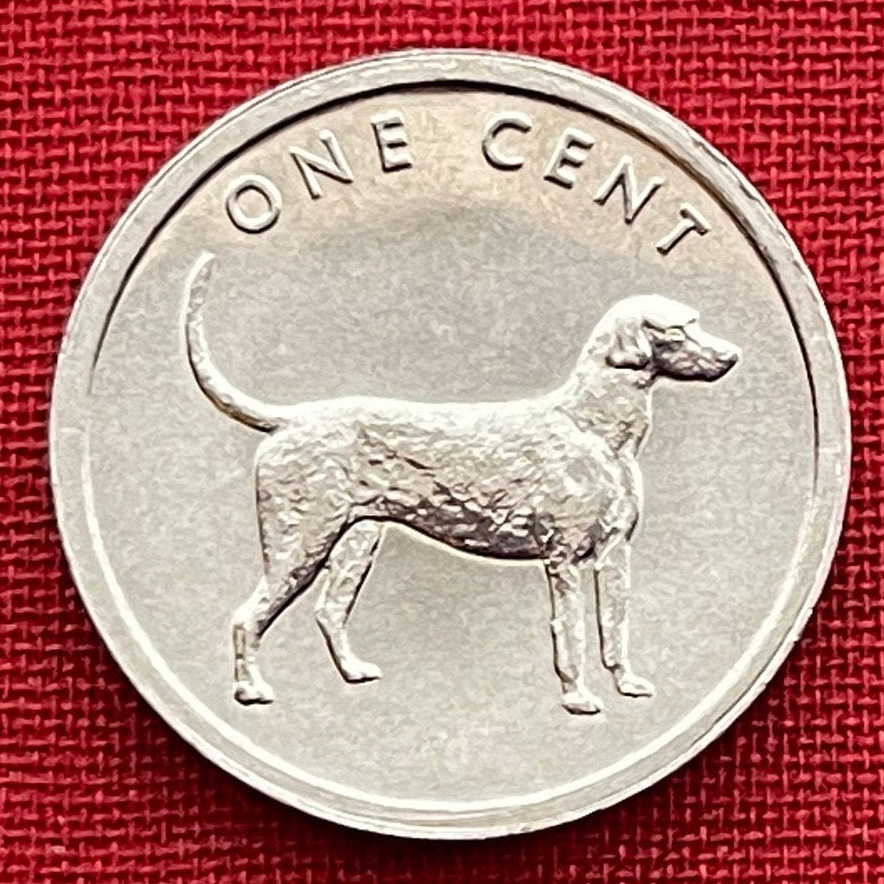 Bird Dog (English Pointer) 1 Cent Cook Islands Authentic Coin Money for Jewelry and Craft Making (2003) (Gundog) (Hunting Dog)