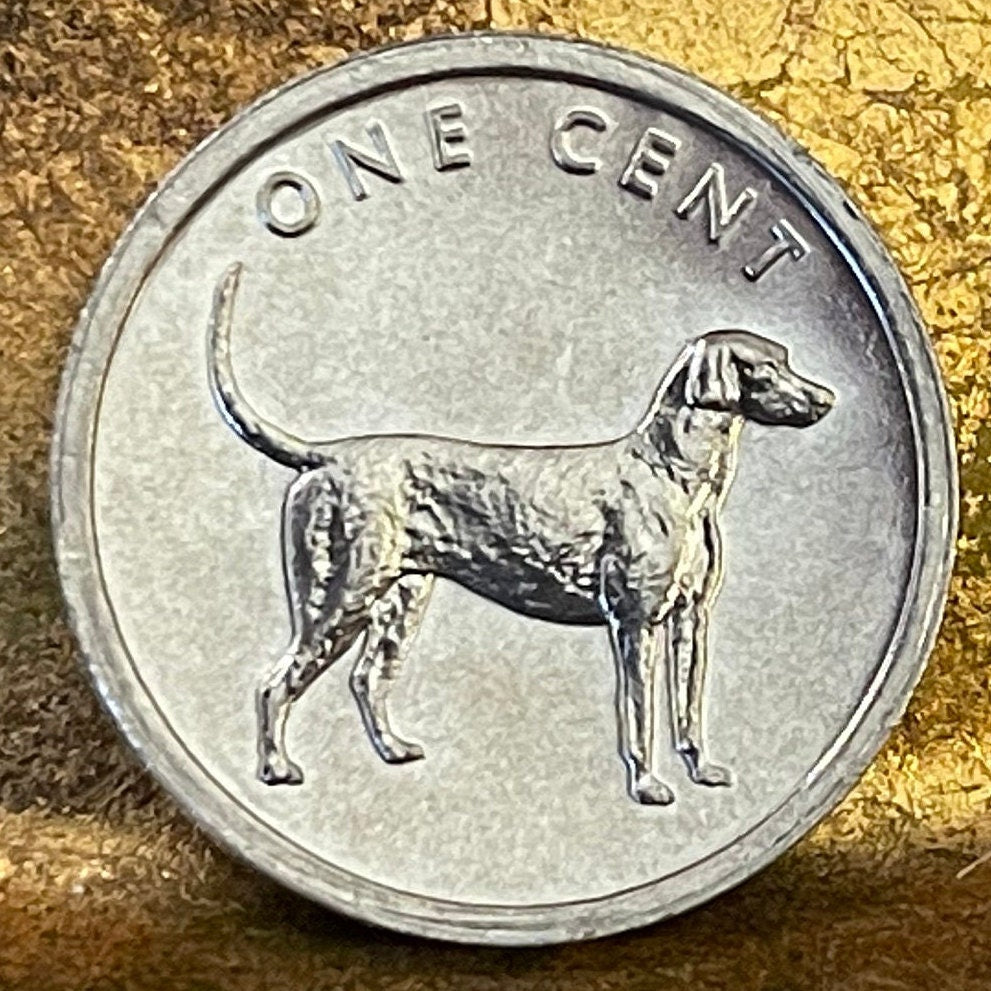 Bird Dog (English Pointer) 1 Cent Cook Islands Authentic Coin Money for Jewelry and Craft Making (2003) (Gundog) (Hunting Dog)