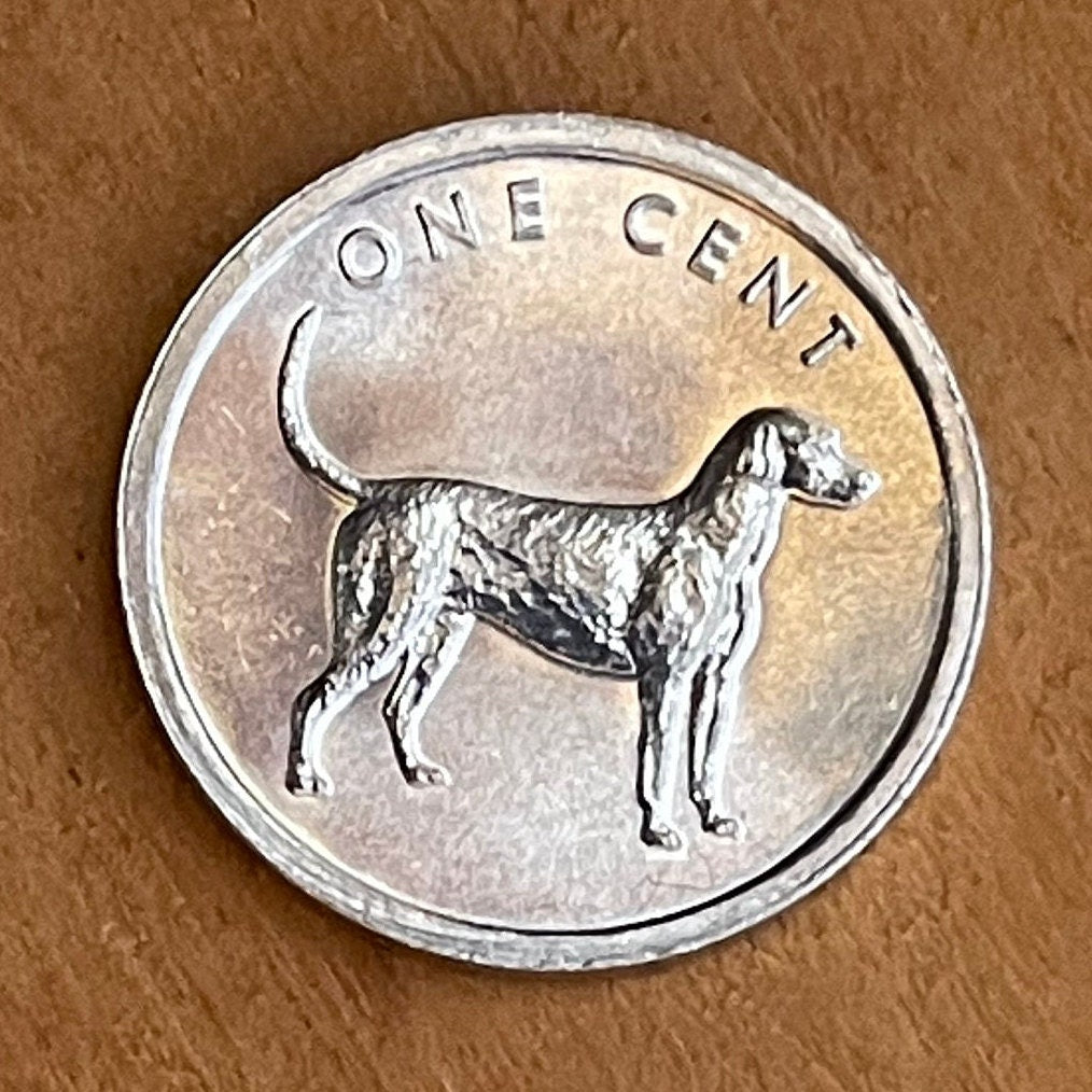 Bird Dog (English Pointer) 1 Cent Cook Islands Authentic Coin Money for Jewelry and Craft Making (2003) (Gundog) (Hunting Dog)