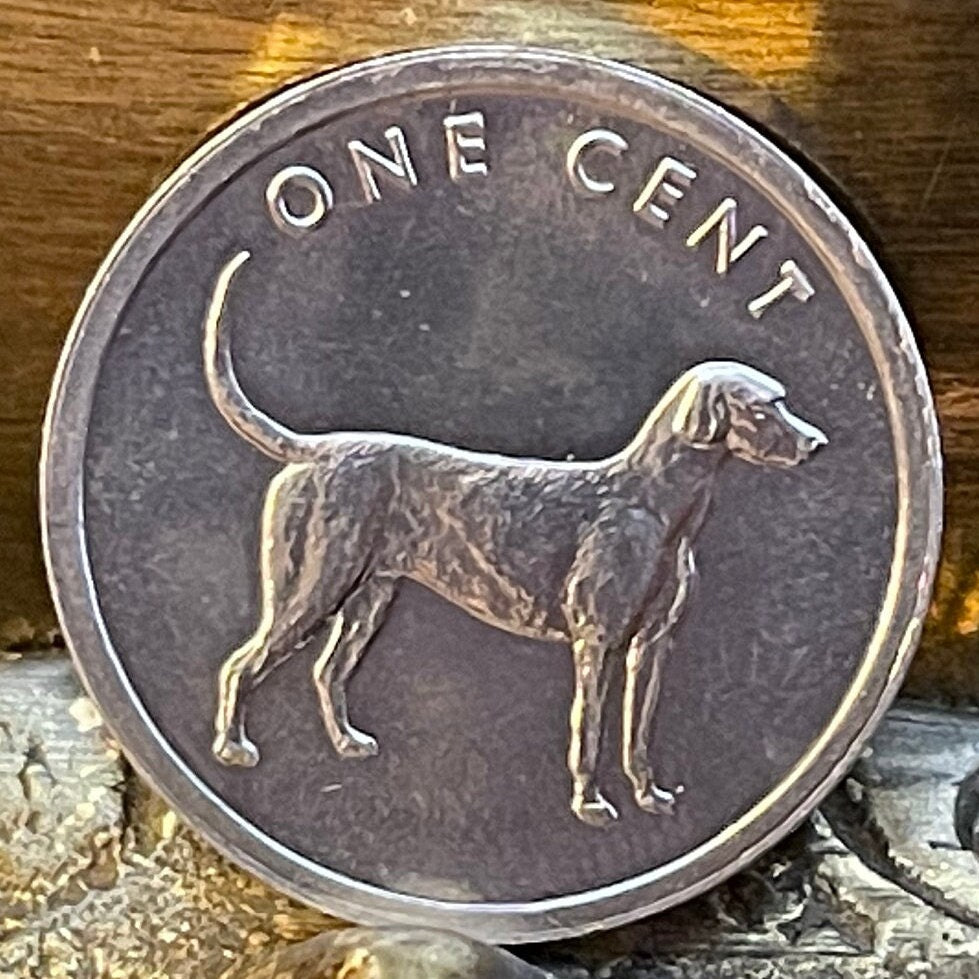 Bird Dog (English Pointer) 1 Cent Cook Islands Authentic Coin Money for Jewelry and Craft Making (2003) (Gundog) (Hunting Dog)