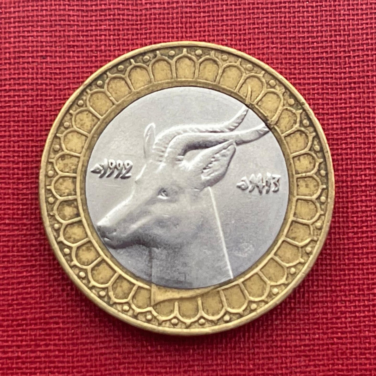 Dama Gazelle 50 Dinars Algeria Authentic Coin Money for Jewelry and Craft Making (Addra Gazelle) or (Mhorr gazelle) (Ménas) (Bimetallic) VF