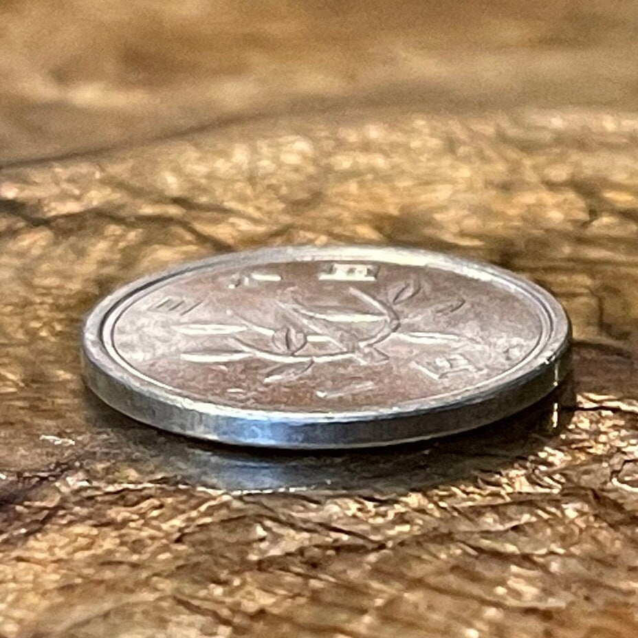 Bamboo 1 Yen Japan Authentic Coin Money for Jewelry and Craft Making (Prosperity) (Purity) (Innocence) (Lucky Bamboo)