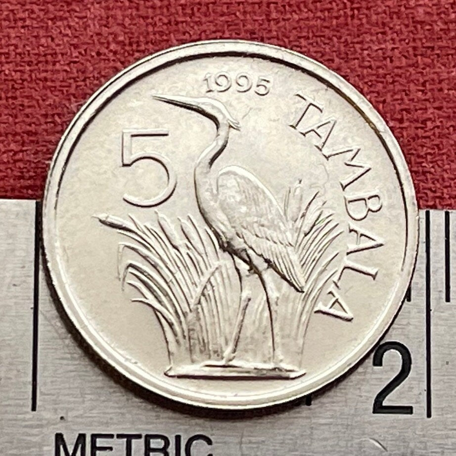 Purple Heron 5 Tambala Malawi Authentic Coin Money for Jewelry and Craft Making (Unity and Freedom)