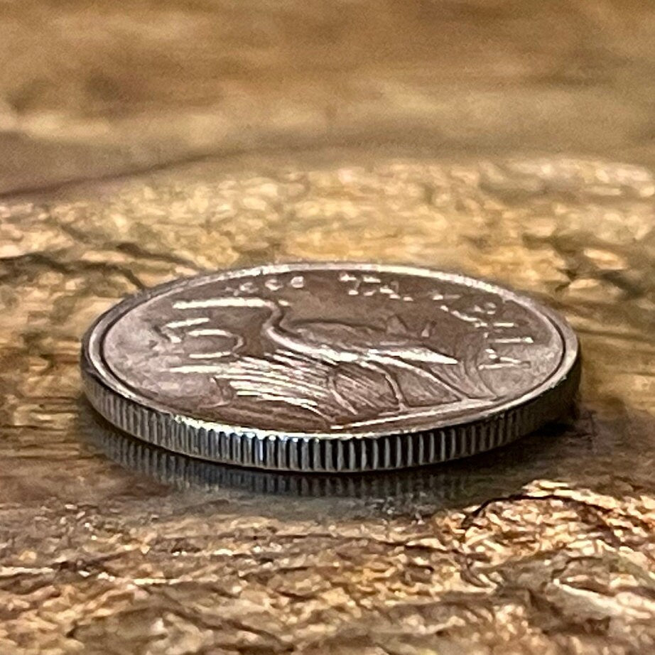 Purple Heron 5 Tambala Malawi Authentic Coin Money for Jewelry and Craft Making (Unity and Freedom)