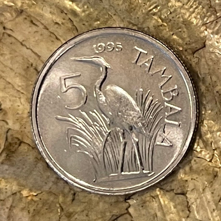 Purple Heron 5 Tambala Malawi Authentic Coin Money for Jewelry and Craft Making (Unity and Freedom)