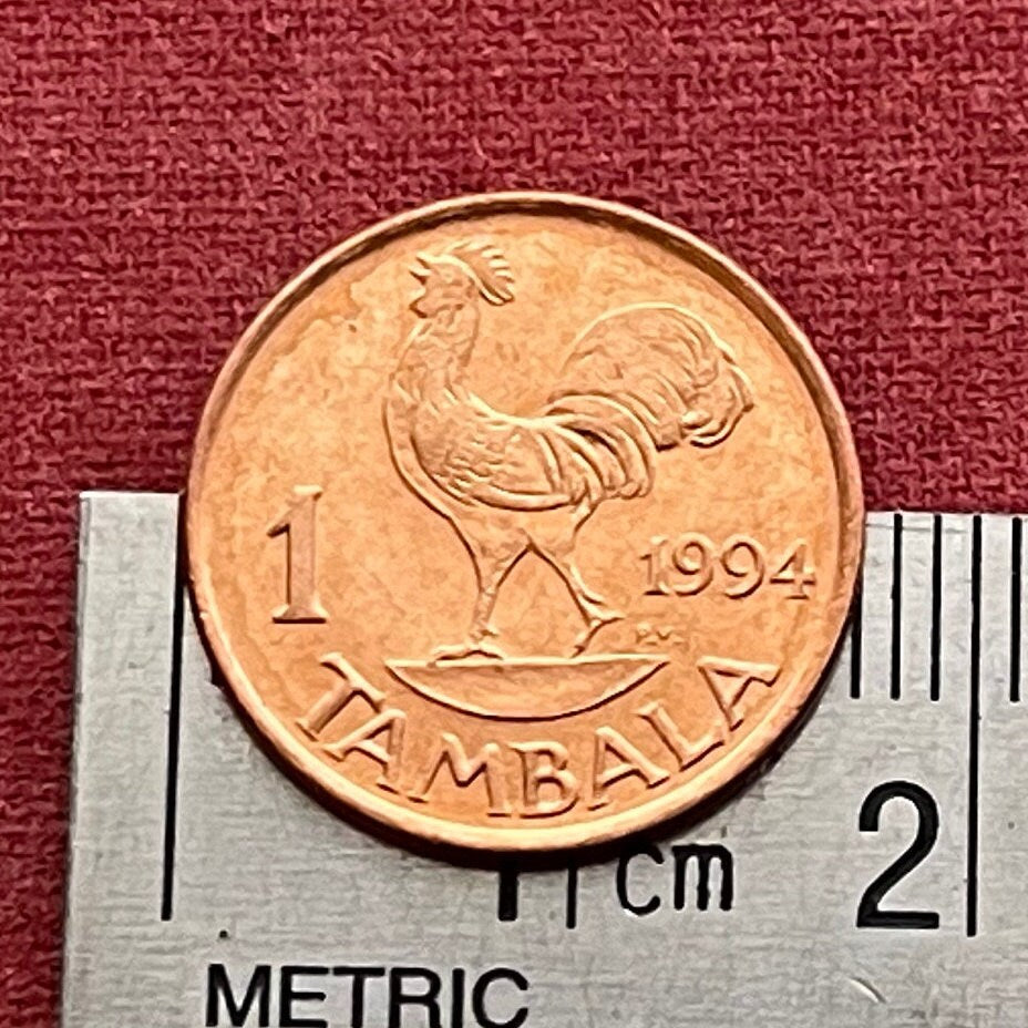 Wild Rooster & Hastings Kamuzu Banda 1 Tambala Authentic Coin Money for Jewelry and Craft Making (Free Range Indigenous Chicken)