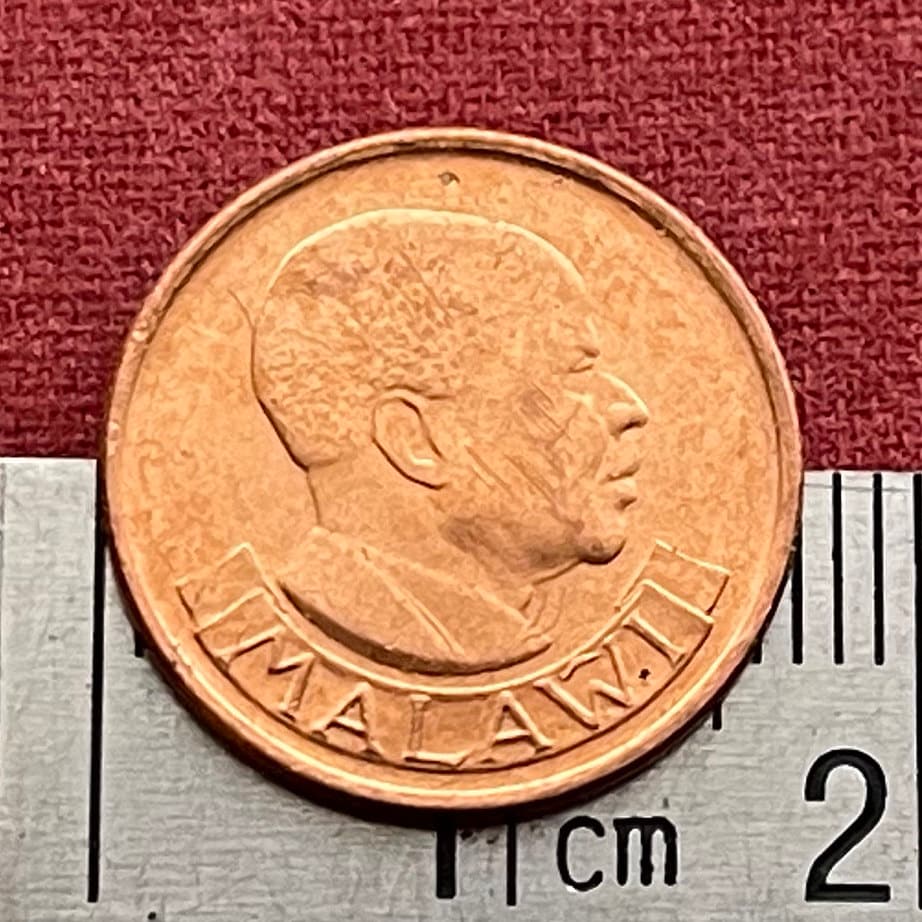 President for Life Hastings Kamuzu Banda & Wild Rooster 1 Tambala Authentic Coin Money for Jewelry (Free Range Indigenous Chicken)