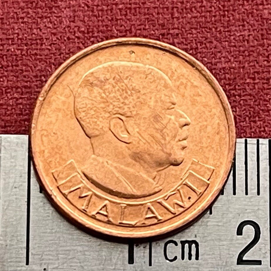 Wild Rooster & Hastings Kamuzu Banda 1 Tambala Authentic Coin Money for Jewelry and Craft Making (Free Range Indigenous Chicken)