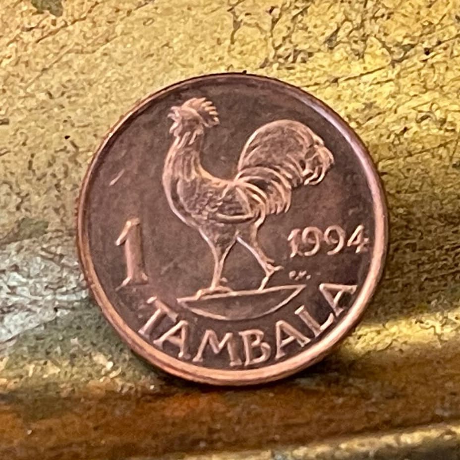 President for Life Hastings Kamuzu Banda & Wild Rooster 1 Tambala Authentic Coin Money for Jewelry (Free Range Indigenous Chicken)
