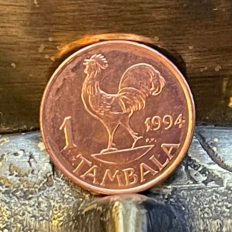 Wild Rooster & Hastings Kamuzu Banda 1 Tambala Authentic Coin Money for Jewelry and Craft Making (Free Range Indigenous Chicken)