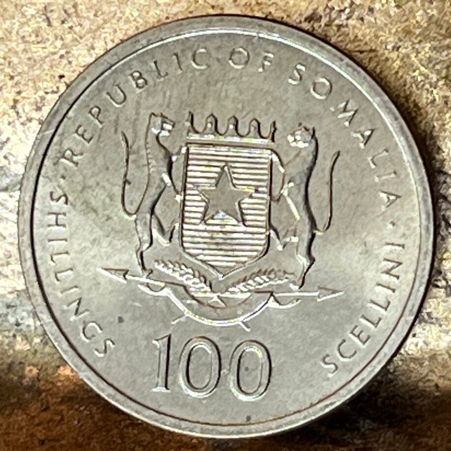 Queen of Sheba 100 Shillings Somalia Authentic Coin Money for Jewelry and Craft Making (Ethiopia) (Solomon) (Bible Coin) 2002