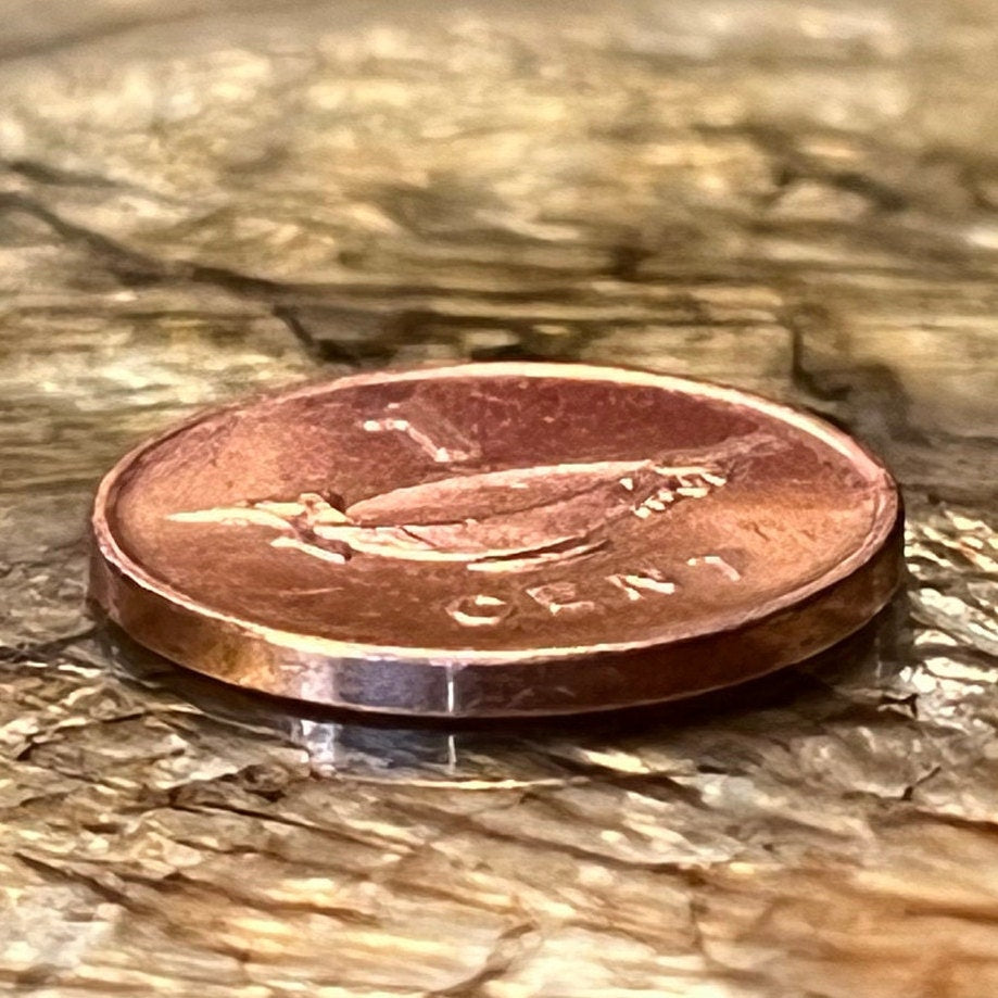 Frigatebird Catching Bonito Fish Carved Bowl 1 Cent Solomon Islands Authentic Coin Money for Jewelry and Craft Making (Bonito Fish Society)