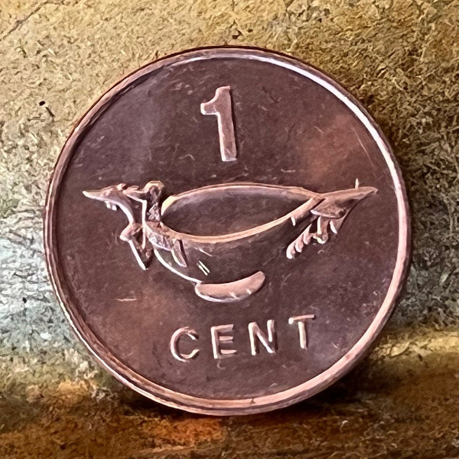Frigatebird Catching Bonito Fish Carved Bowl 1 Cent Solomon Islands Authentic Coin Money for Jewelry and Craft Making (Bonito Fish Society)