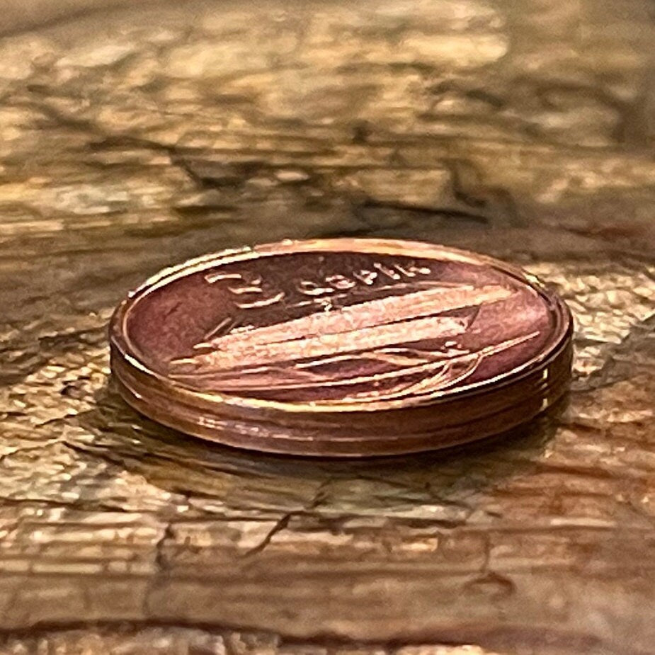 Books and Quill Pen 3 Qapik Azerbaijan Authentic Coin Money for Jewelry and Craft Making (Map of Azerbaijan)