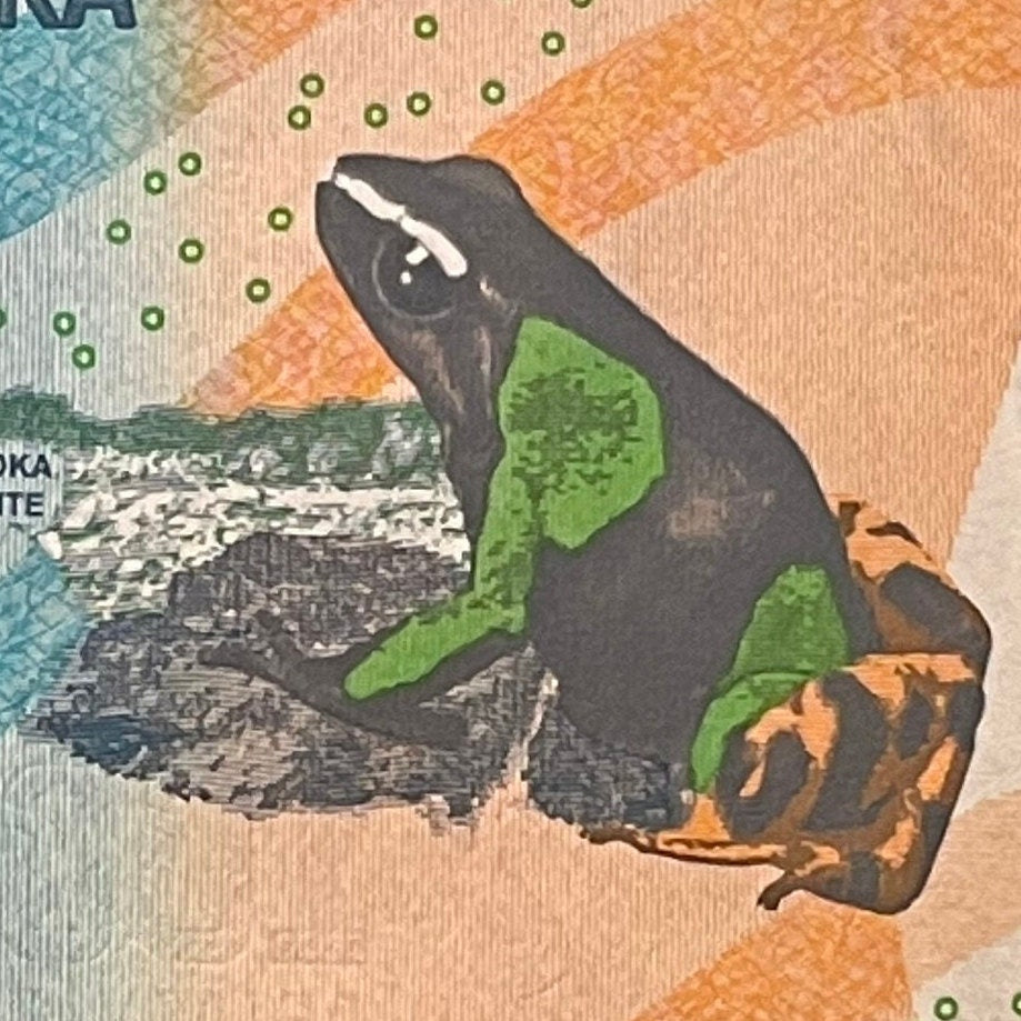 Madagascar Poison Frog & Ambozontany Cathedral 100 Ariary Authentic Banknote Money for Jewelry and Collage (2017) (Zebu) (Fianarantsoa)