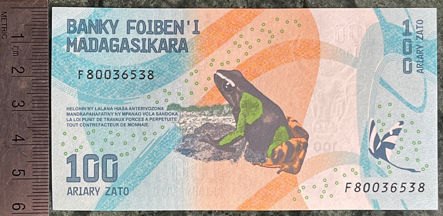 Madagascar Poison Frog & Ambozontany Cathedral 100 Ariary Authentic Banknote Money for Jewelry and Collage (2017) (Zebu) (Fianarantsoa)