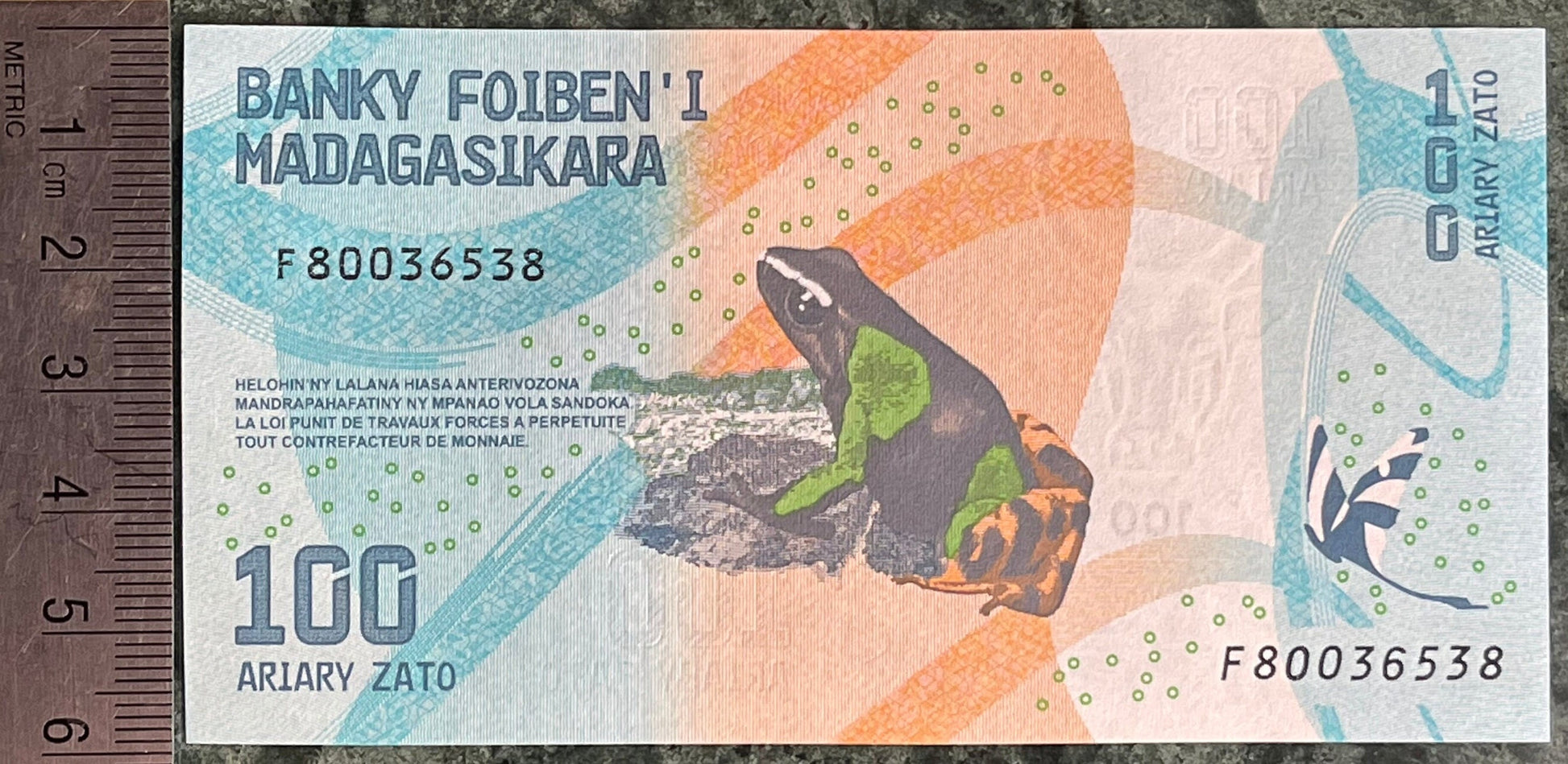 Madagascar Poison Frog & Ambozontany Cathedral 100 Ariary Authentic Banknote Money for Jewelry and Collage (2017) (Zebu) (Fianarantsoa)