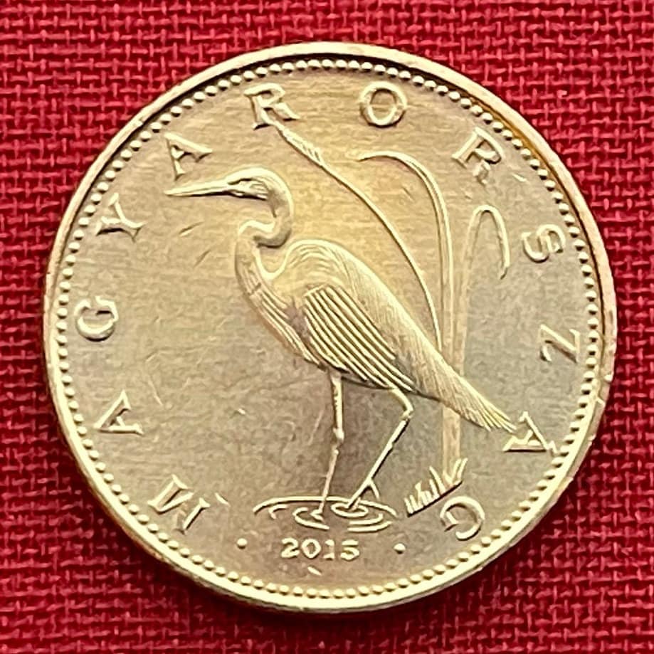 Great Egret 5 Forint Hungary Authentic Coin Money for Jewelry and Craft Making (Great White Heron)