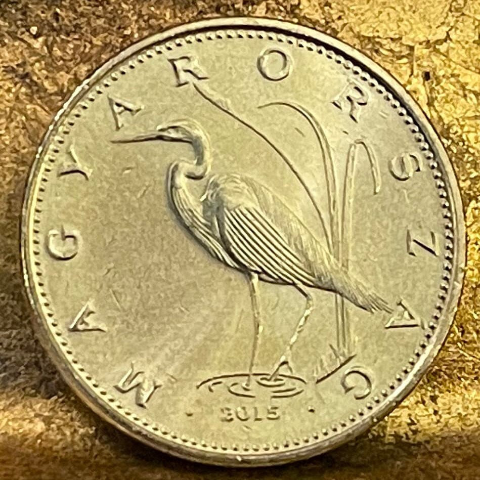 Great Egret 5 Forint Hungary Authentic Coin Money for Jewelry and Craft Making (Great White Heron)
