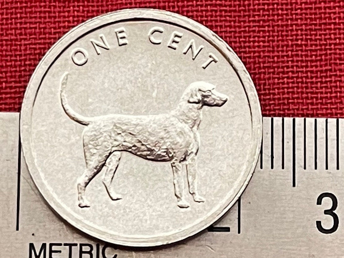 Bird Dog (English Pointer) 1 Cent Cook Islands Authentic Coin Money for Jewelry and Craft Making (2003) (Gundog) (Hunting Dog)