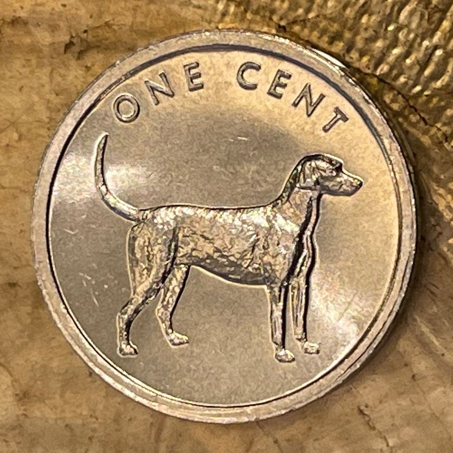 Bird Dog (English Pointer) 1 Cent Cook Islands Authentic Coin Money for Jewelry and Craft Making (2003) (Gundog) (Hunting Dog)