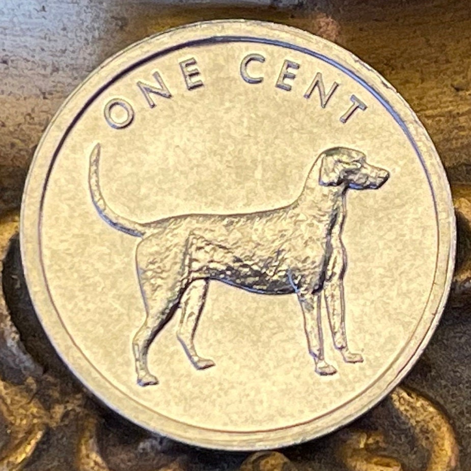 Bird Dog (English Pointer) 1 Cent Cook Islands Authentic Coin Money for Jewelry and Craft Making (2003) (Gundog) (Hunting Dog)