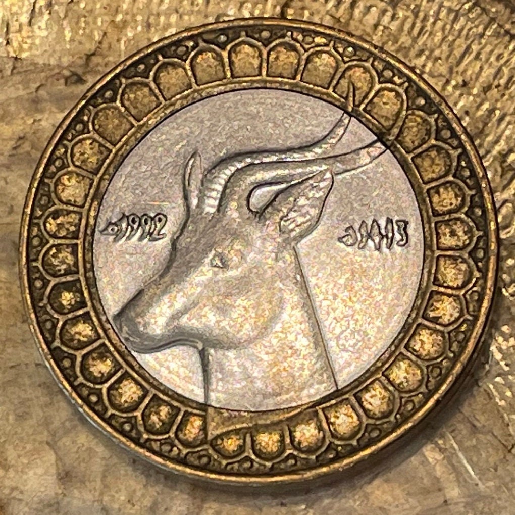 Dama Gazelle 50 Dinars Algeria Authentic Coin Money for Jewelry and Craft Making (Addra Gazelle) or (Mhorr gazelle) (Ménas) (Bimetallic) VF